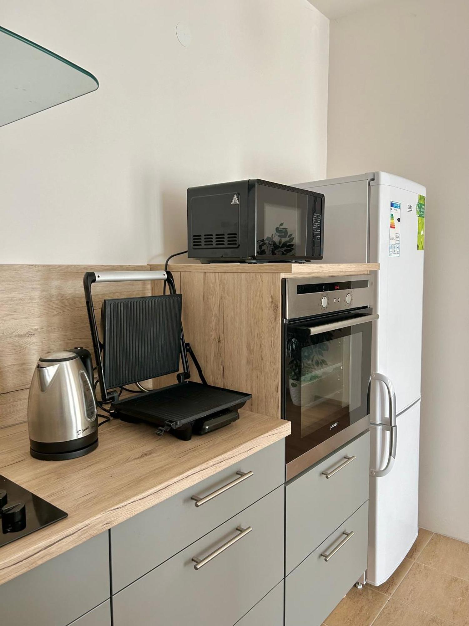 V Srdci Podebrad 100m2 Apartament
