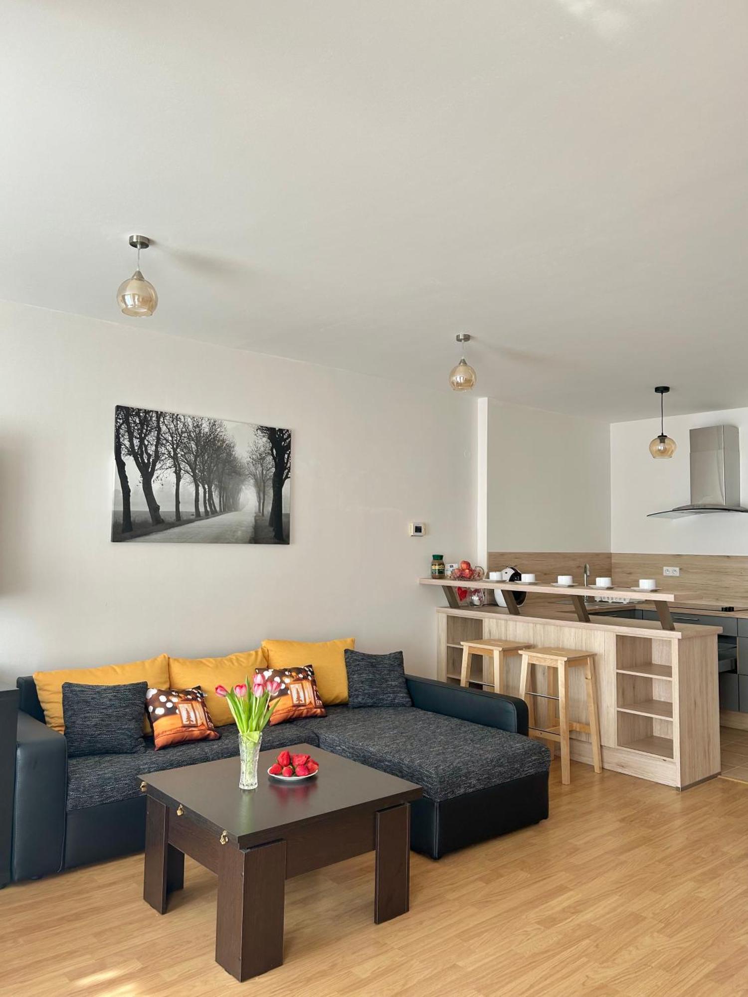 V Srdci Podebrad 100m2 Apartament Podiebrady