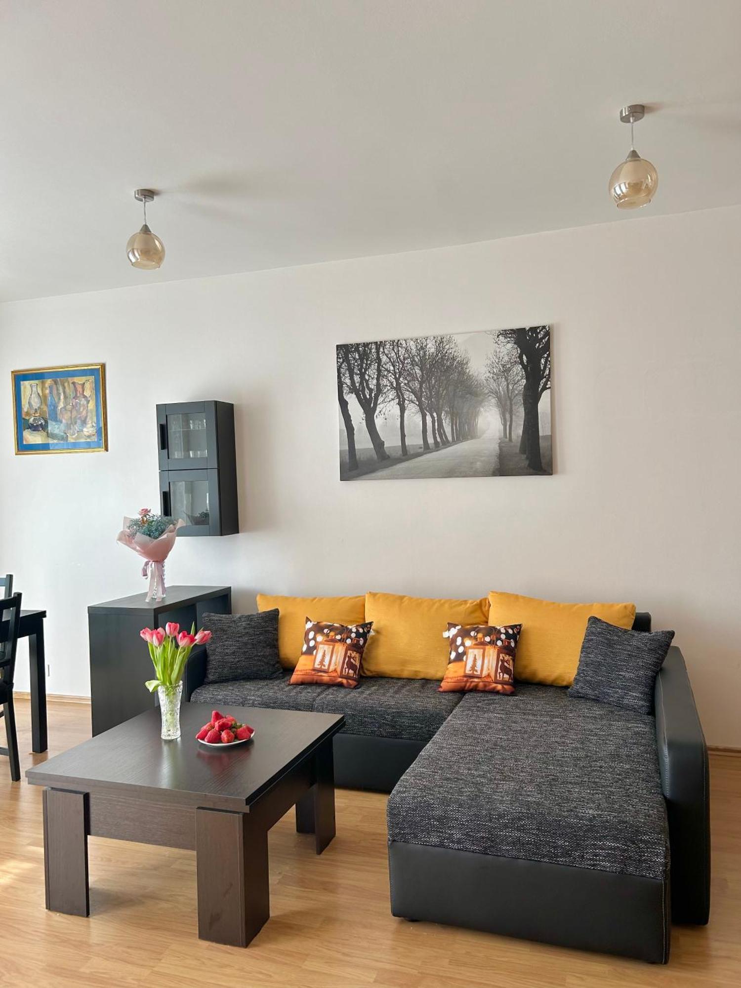 V Srdci Podebrad 100m2 Apartament